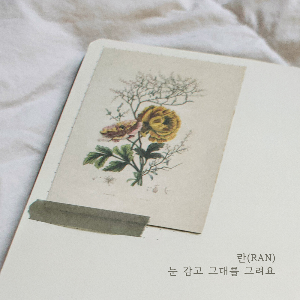 Image Cover